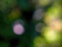 abstract kleurrijk achtergrond van een ongericht fotografie van natuurlijk omgevingen genomen in de andean bergen van centraal Colombia. foto