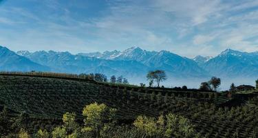 de besneeuwd monviso kijkt uit over de piemontese langhe in de herfst seizoen, met haar wijngaarden en heuvels, in de buurt alba foto
