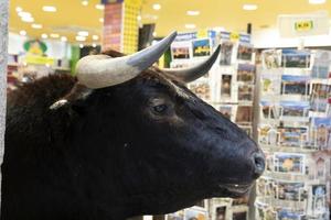 Spaans stier buiten souvenir winkel foto