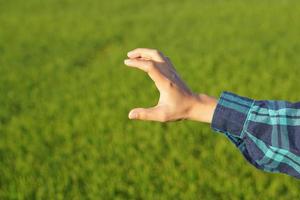 Aziatisch vrouw boer hand, groen rijst- veld- achtergrond foto