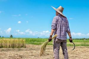 een boer staat in zijn veld- gedurende de dag. foto