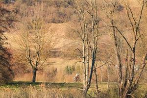 mensen zijn rijden de fiets Aan een landelijk weg Bij zonsondergang langs Donau rivier- in Regensburg, duitsland, Europa. foto