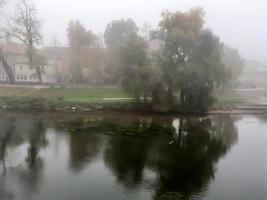 herfst landschap in de buurt de Donau rivier, regensburg stad, Europa. wandelen trog de Woud Aan een mistig dag. foto