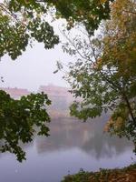 herfst landschap in de buurt de Donau rivier, regensburg stad, Europa. wandelen trog de Woud Aan een mistig dag. foto