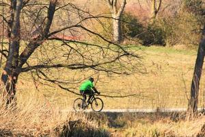 mensen zijn rijden de fiets Aan een landelijk weg Bij zonsondergang langs Donau rivier- in Regensburg, duitsland, Europa. foto