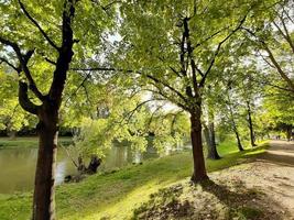 wandelen Aan een mooi voorjaar dag in de park foto