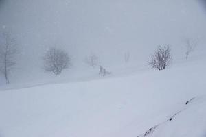 winter landschap in oostenrijks Alpen foto