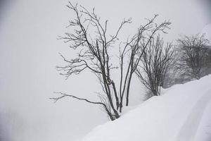 winter landschap in oostenrijks Alpen foto