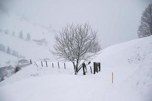 winter landschap in oostenrijks Alpen foto