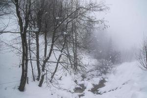 winter landschap in oostenrijks Alpen foto