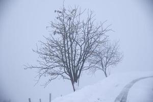 winter landschap in oostenrijks Alpen foto