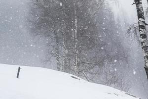 winter landschap in oostenrijks Alpen foto