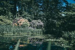 letland meer in de zomer foto