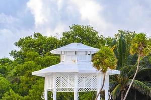 wit edele pergula paviljoen in paradijs Aan strand palmen Mexico. foto