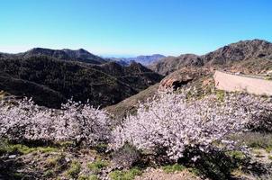 berg landschap Aan de kanarie eilanden foto