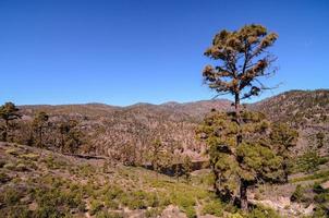 landschap in de kanarie eilanden Bij Tenerife foto