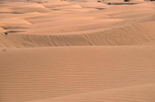 zand duinen in zomer foto