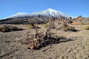 besneeuwde berglandschap foto