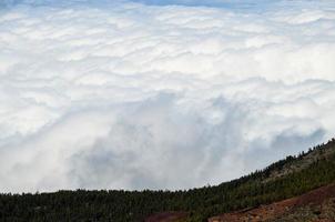 landschap in de zomer foto