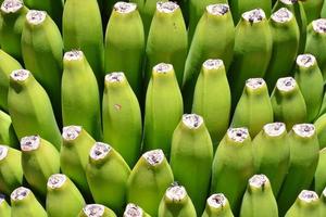 groen banaan detailopname foto