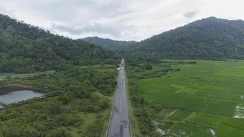 hoog hoek visie van de weg in de midden- van rijst- velden foto