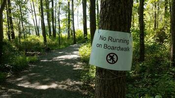 Nee rennen Aan promenade teken Aan boom in bossen foto