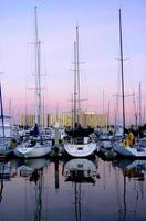 zeilboten afgemeerd veilig in de jachthaven en Bij hun dokken in san diego, Californië. foto