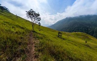 berg landschap met weide. hoogland in west sumatra. Indonesië foto