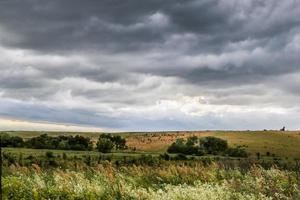 zwart wolken voordat storm Aan de veld- foto