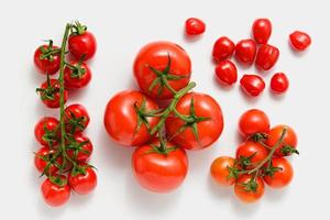 divers tomaten Aan wit achtergrond. foto