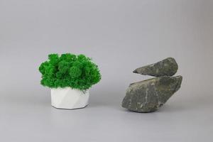 groen mos in een pot. podium gemaakt van natuur stenen. rots voetstuk Aan een grijs achtergrond. schoonheid Product en andere onderwerpen Promotie. foto