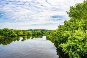 mooi gras moeras riet groeit Aan kust reservoir in platteland foto