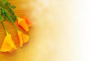 kleurrijk essholtsia bloemen Aan een achtergrond van de herfst landschap foto