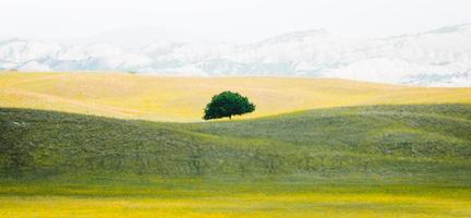 vashlovani nationaal park in Georgië foto