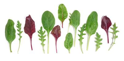 vers groen bladeren van rucola, spinazie, snijbiet Aan een wit geïsoleerd achtergrond. salade mengen foto