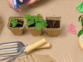 een vrouw Bij huis is gieter planten in papier kopjes. groeit planten en groenten Bij huis foto