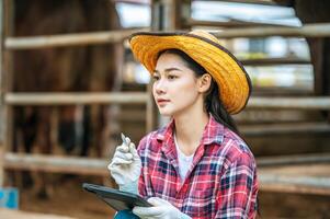 Aziatisch jong boer vrouw zittend terwijl werken met tablet pc computer en koeien in stal Aan zuivel boerderij. landbouw industrie, landbouw, mensen, technologie en dier veeteelt concept. foto