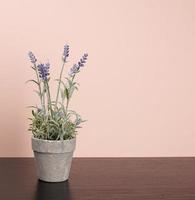keramisch pot met lavendel planten Aan een zwart tafel foto