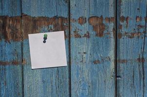 zuiver wit klein blad Aan een blauw houten muur foto