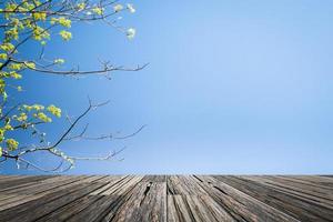 houten vloerplaten met natuur achtergrond foto