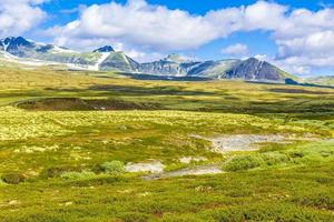 mooi berg en landschap natuur panorama rondane nationaal park Noorwegen. foto