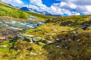 mooi berg en landschap natuur panorama rondane nationaal park Noorwegen. foto