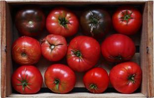 tomaten in een mand foto