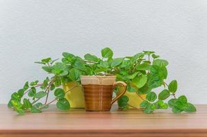 koffiemok en planten op het bureau