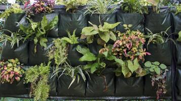 verticaal tuin zak of muur planter zak voor muur planten, hek of ieder andere verticaal. foto