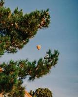 hete luchtballon die overdag over groene pijnboom vliegt foto