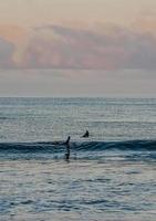 persoon die overdag op zee surft foto