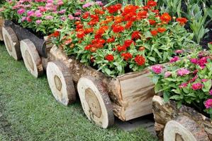 bloemen in houten wagens