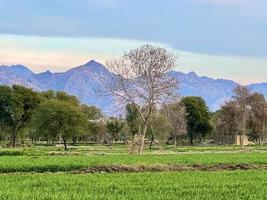 mooi landelijk landschap met mooi helling avond lucht Bij zonsondergang. groen veld- en dorp foto