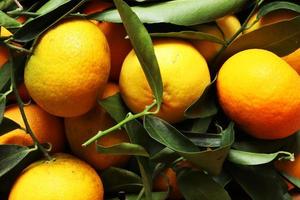 close-up van clementines foto